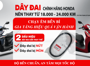 VÌ SAO PHẢI THAY DÂY ĐAI ĐỊNH KỲ?