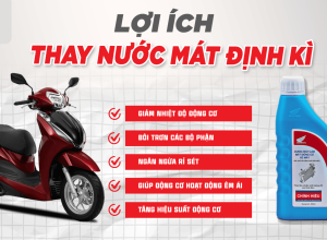 LỢI ÍCH KHÔNG NGỜ CỦA VIỆC THAY NƯỚC MÁT ĐỊNH KỲ