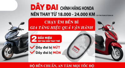 VÌ SAO PHẢI THAY DÂY ĐAI ĐỊNH KỲ?