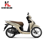 VISION CỔ ĐIỂN